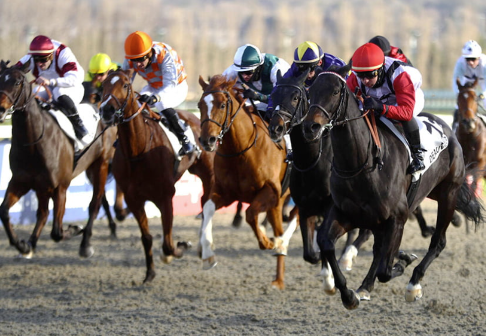 Pronostic gratuit turf || pronosticgratuitturf